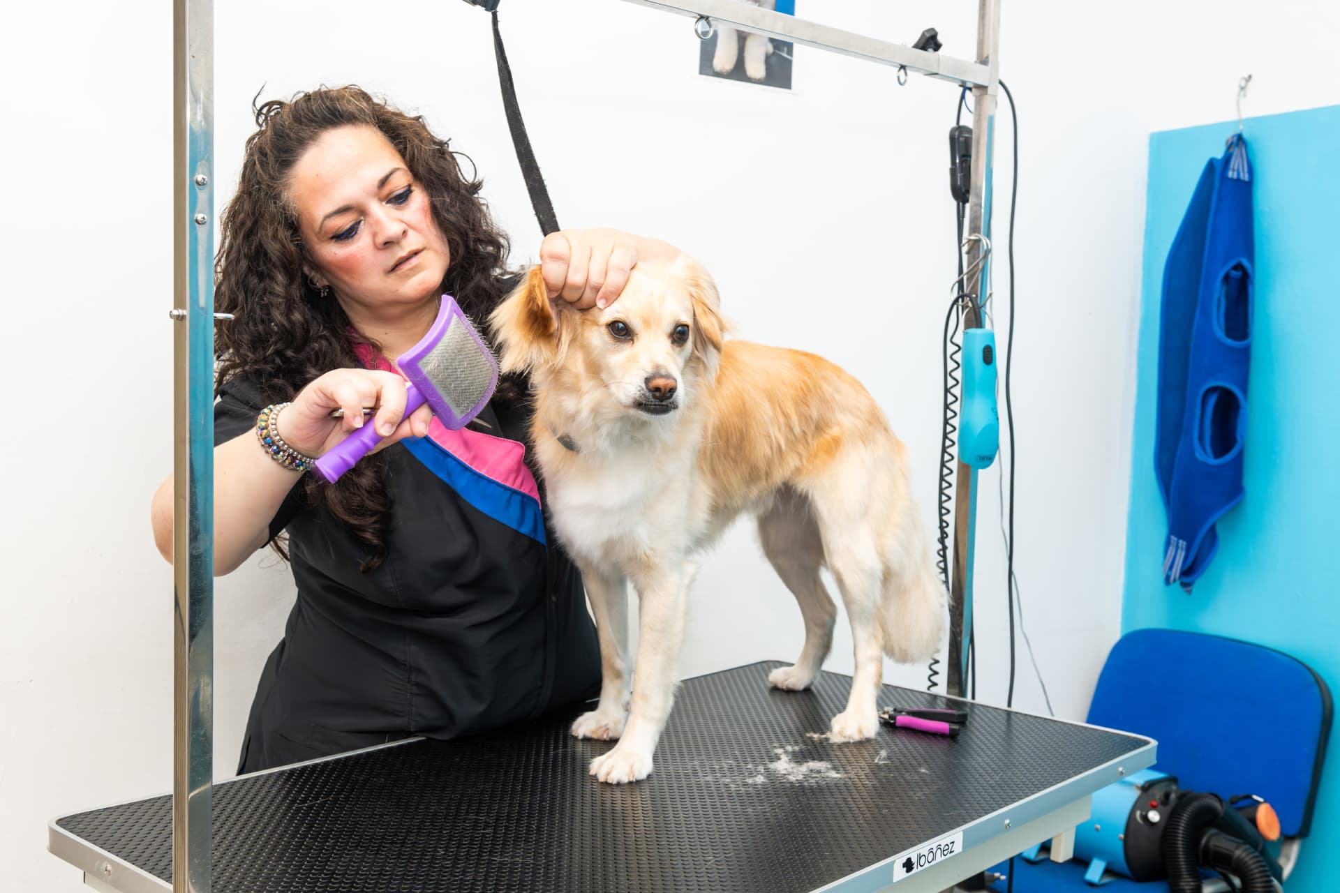 Conoce nuestros servicios de peluquería para mascotas en Pontevedra